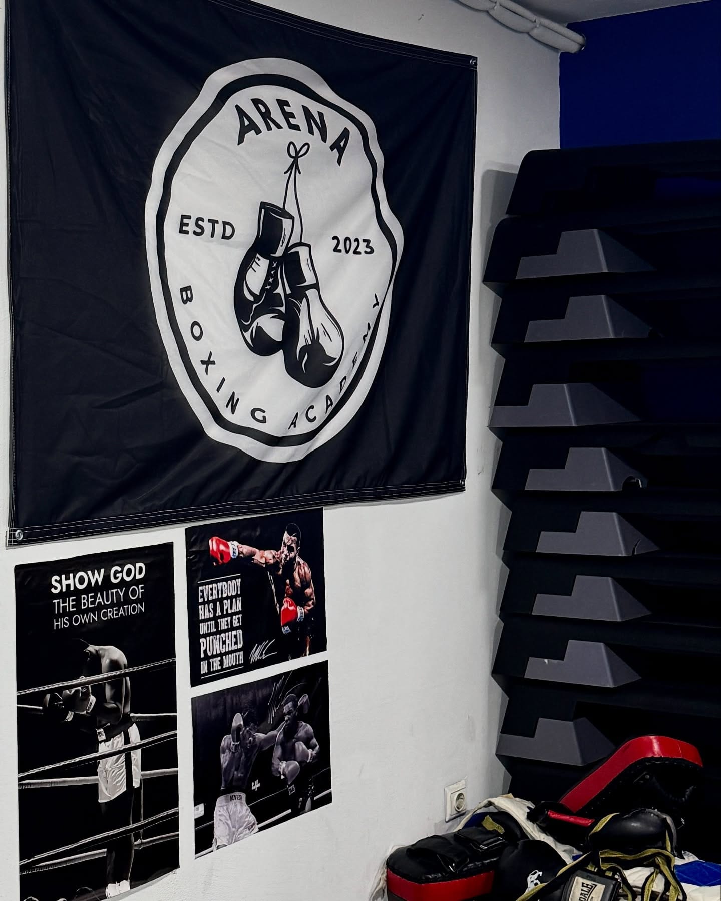 Boks ugao u sali: džakovi i oprema Arena Boxing Academy